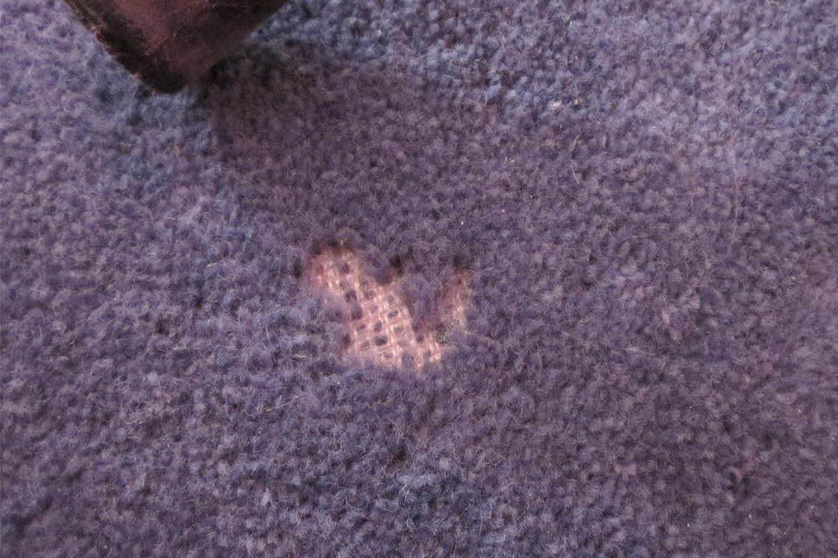 راه های از بین بردن بید فرش