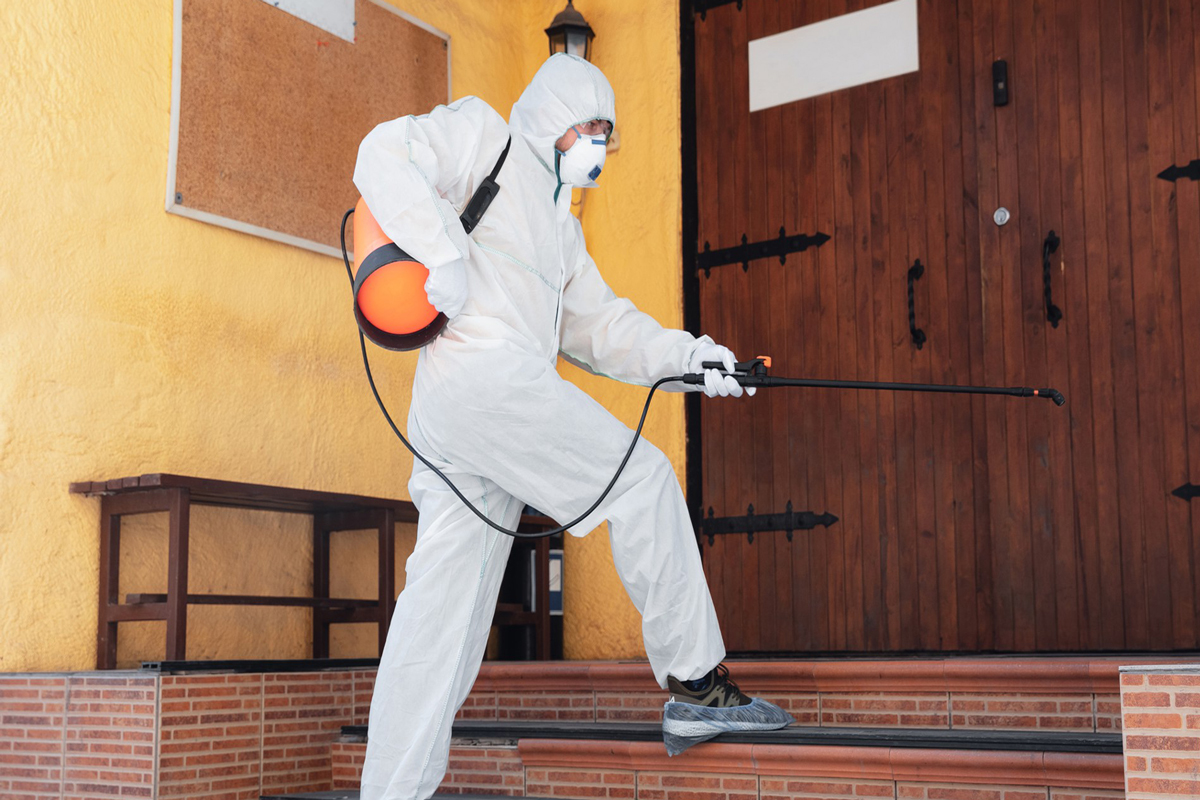 پیشگیری از حمله موریانه ها